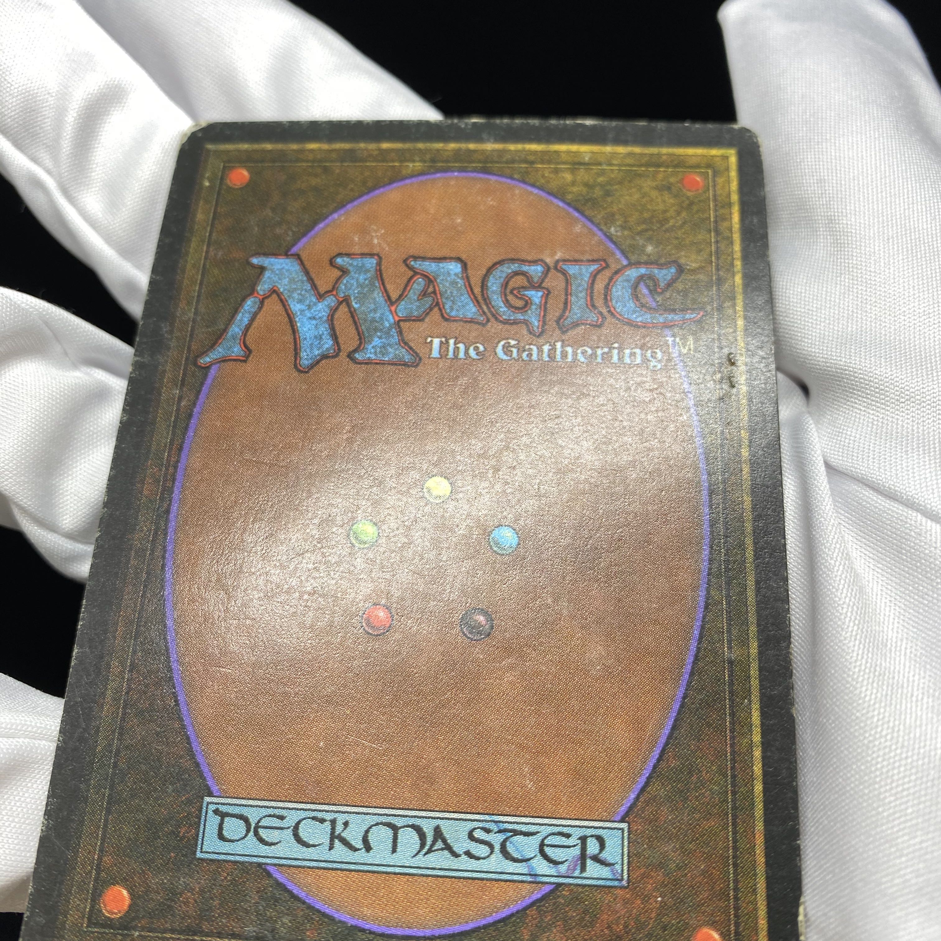 tropical island HPLD