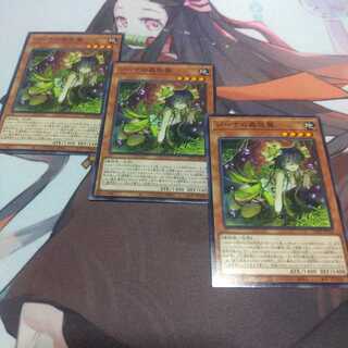 ジーナの蟲惑魔　ノーマル