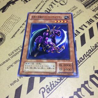 漆黒の豹戦士パンサーウォリアー【N】