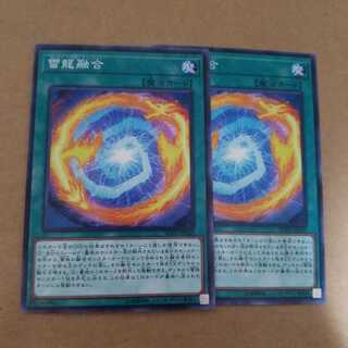 雷龍融合 ノーマル