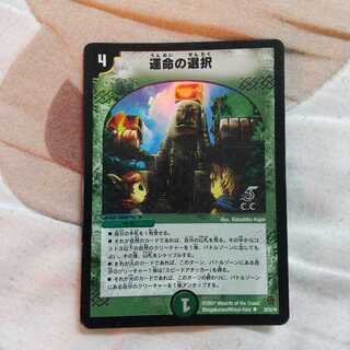 運命の選択(C.C)