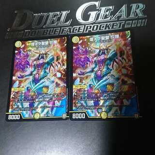 煌メク聖壁 灰瞳