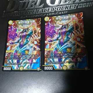 煌メク聖壁 灰瞳