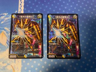 「雷光の聖騎士」2枚