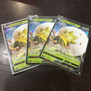 ワタシラガV RR 3枚