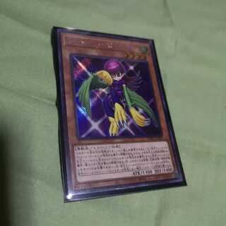 トゥーン・ハーピィ・レディ（海外版イラスト） SE　WPP1-JP002