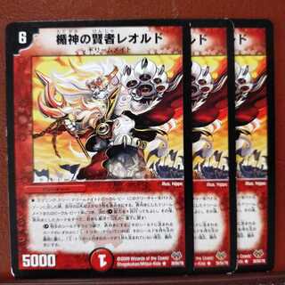 ミヤビタイガーさん専用　セット割引　楯神の賢者レオルド