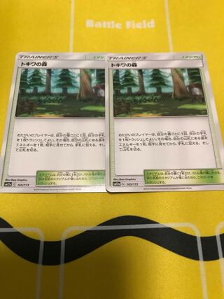 トキワの森 2枚セット