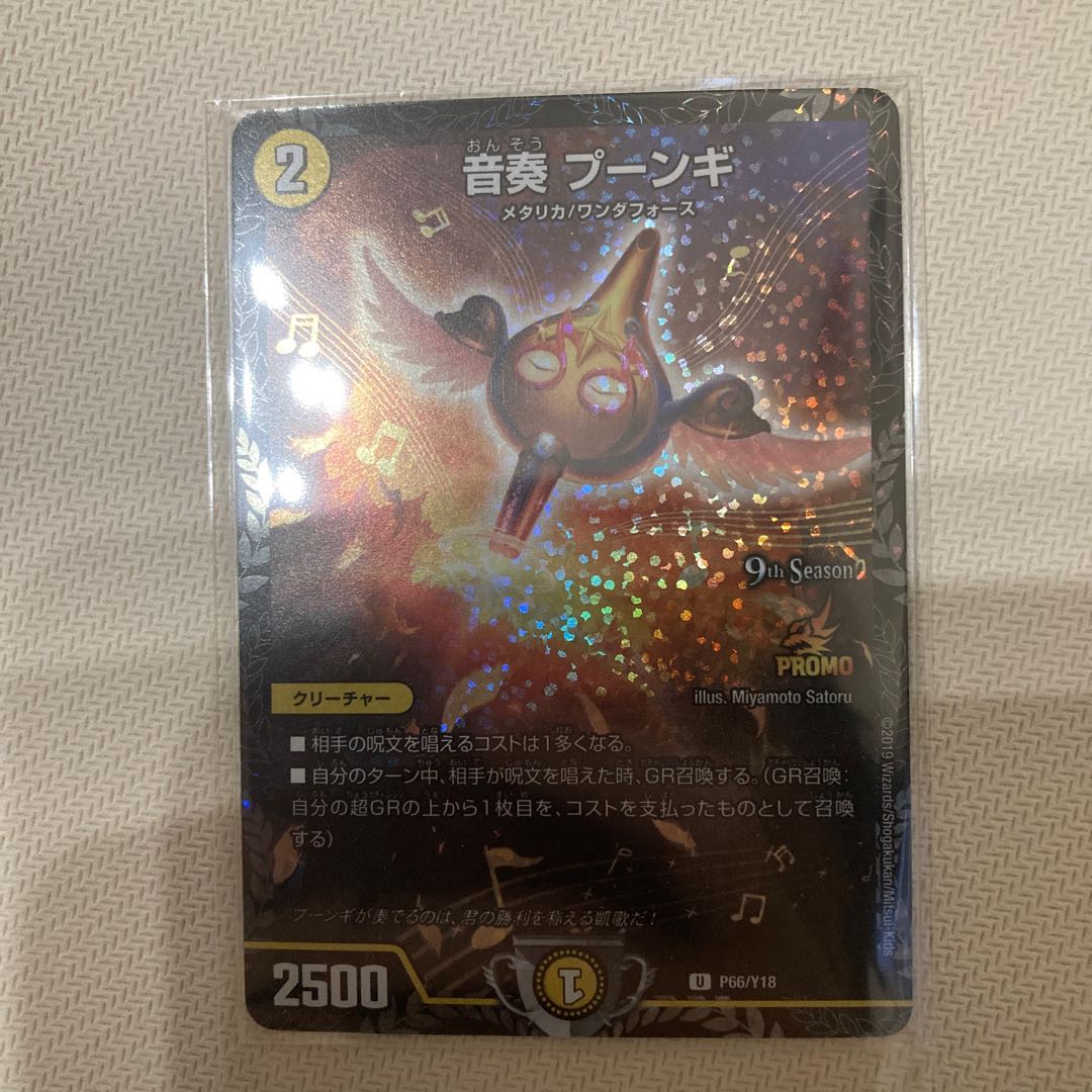 Sound Performance Poonghi