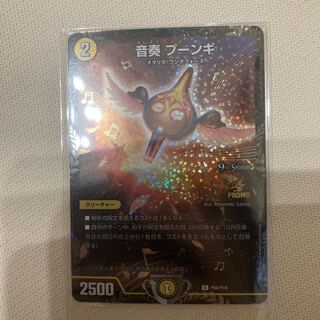 Sound Performance Poonghi