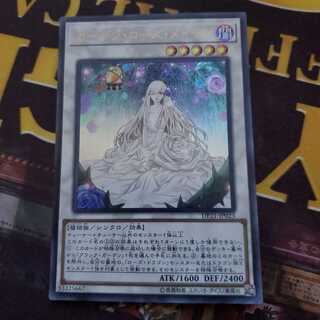 ガーデン・ローズ・メイデン