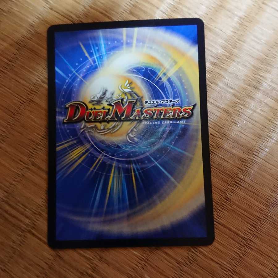 天命龍装 ホーリーエンド/ナウ・オア・ネバー