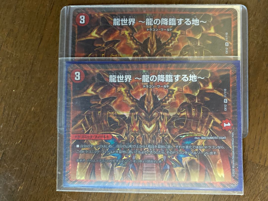 龍世界 -龍の降臨する地- 2枚