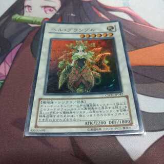 ヘルブランブル　スーパー