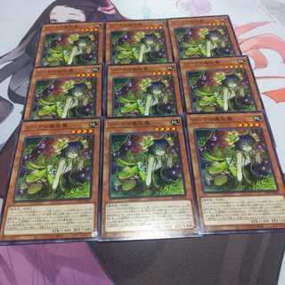 ジーナの蟲惑魔　ノーマル