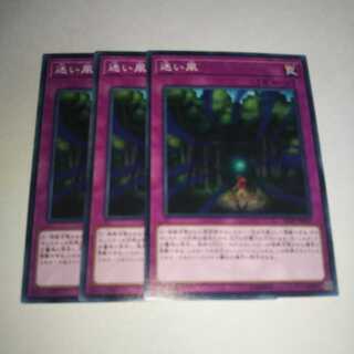 迷い風 ノーマル 3枚