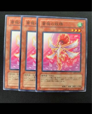 薔薇の妖精　3枚セット　【カズナ】ABPF