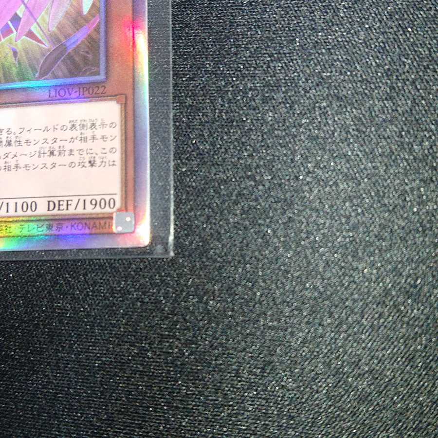 ダーク・オネスト HR