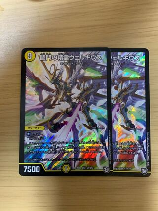 闘門の精霊ウェルキウス