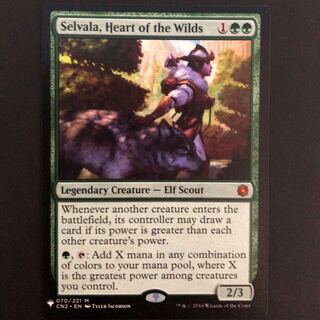 野生の心、セルヴァラ