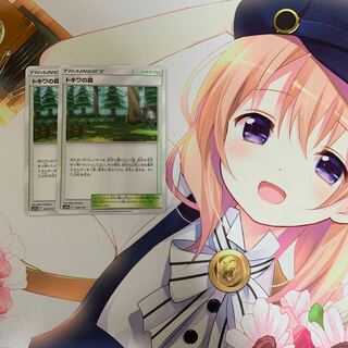 トキワの森　2枚セット