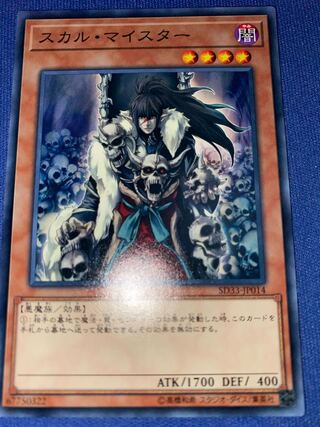 スカル・マイスター