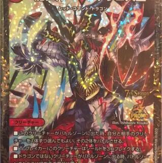 はにゅーん様専用 1枚