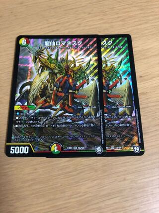 龍仙ロマネスク2枚