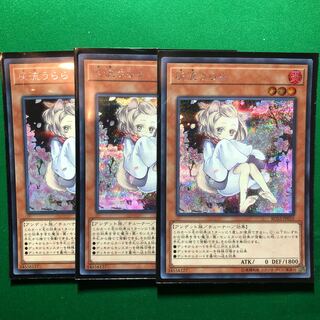 【即発送】遊戯王　アジア版　灰流うらら　シークレット　3枚セット 即日発送】遊戯王 灰流うらら シークレット アジア版 亜シク 3枚