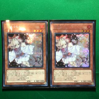 遊戯王　灰流うらら シークレットレア　2枚　セット
