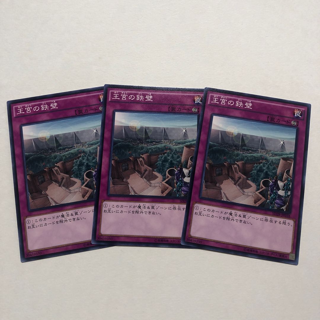 蓮華専用　王宮の鉄壁 その他