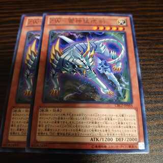 ZW-雷神猛虎剣 レア　2枚セット