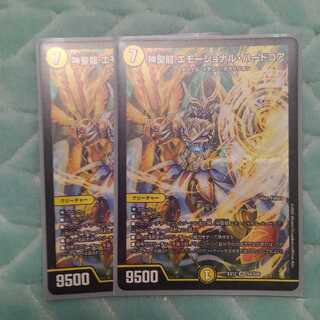 神聖龍 エモーショナル・ハードコア SR