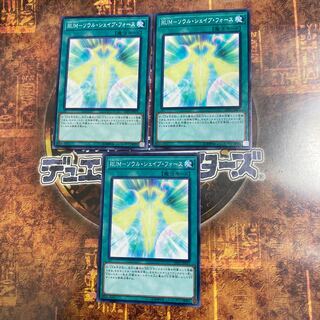 遊戯王★RUM-ソウル・シェイブ・フォース★ノーマル三枚★