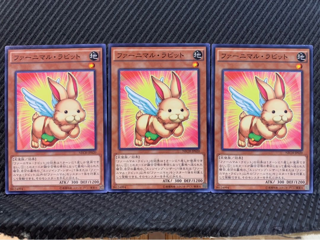 【ぽぽたん】遊戯王 10219 ファーニマル・ラビット 3枚 ノーマル