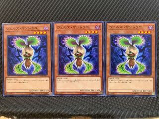 【ぽぽたん】遊戯王 6547 ヴェルズ・マンドラゴ 3枚 ノーマル