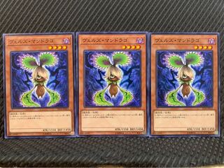 【ぽぽたん】遊戯王 6290 ヴェルズ・マンドラゴ 3枚 ノーマル