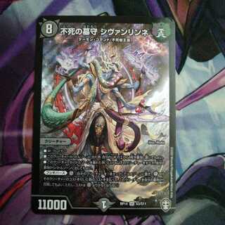 不死の墓守 シヴァンリンネ