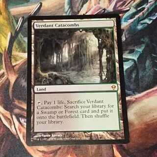 【MTG】新緑の地下墓地(英) ZNE版