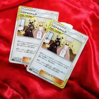 シロナ＆カトレア