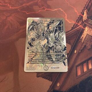 煌龍 サッヴァーク