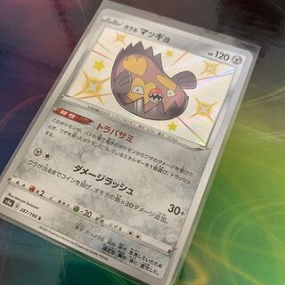 ガラルマッギョ　色違い