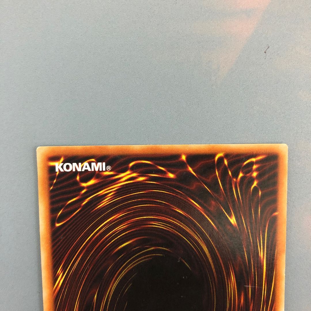 最終値下げ(ウルパラ)ドラゴンに乗るワイバーン　