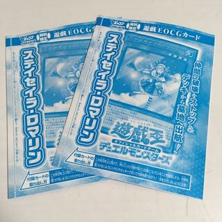 ★ステイイラ・ロマリン　未開封★