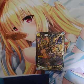 煌龍 サッヴァーク