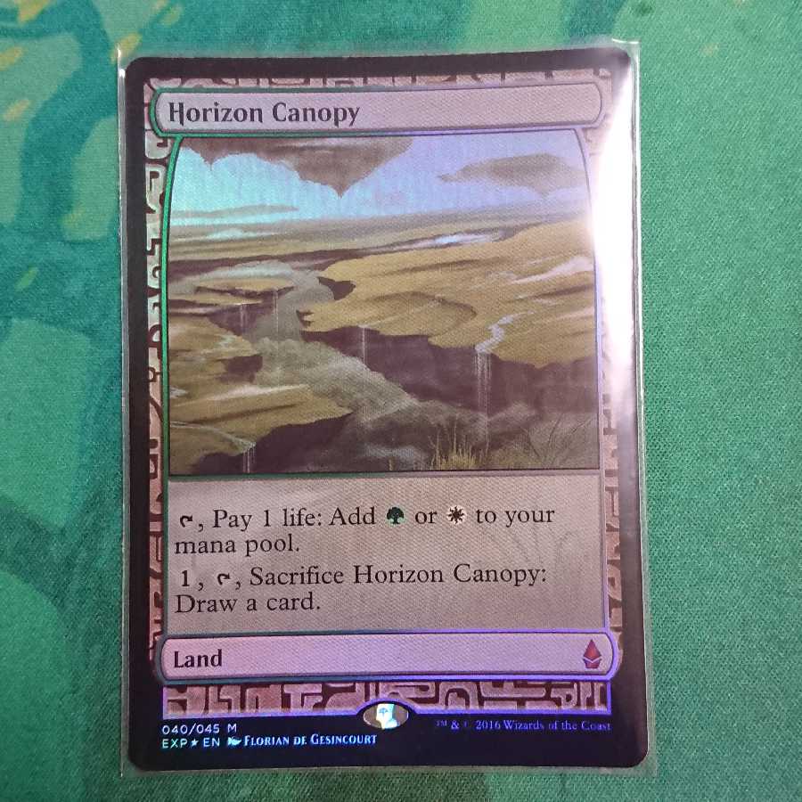 地平線の梢 エクスペディション