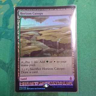 地平線の梢 エクスペディション