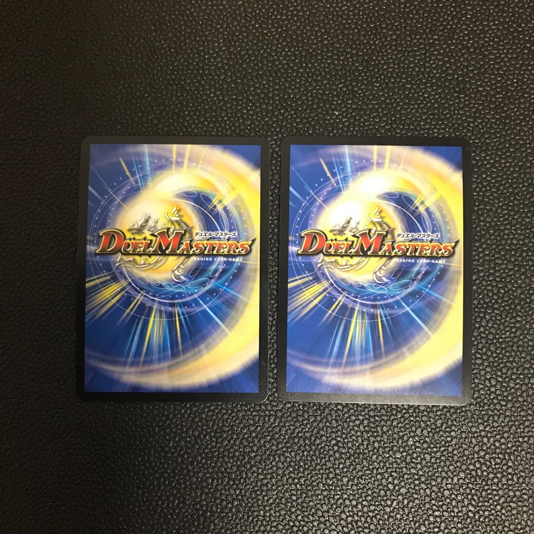 「絶対の楯騎士」