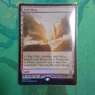 乾燥台地 エクスペディション