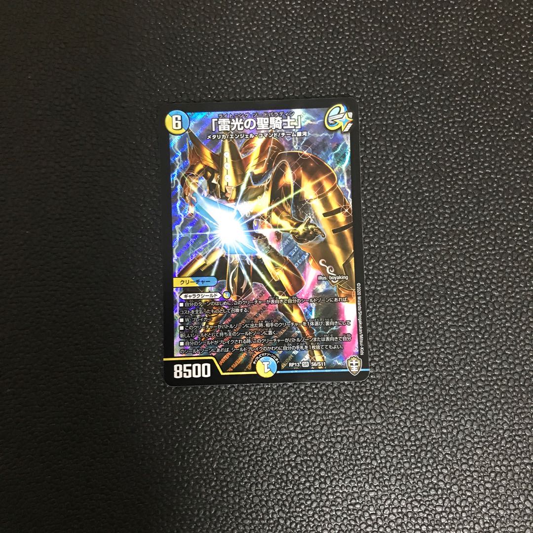 「雷光の聖騎士」